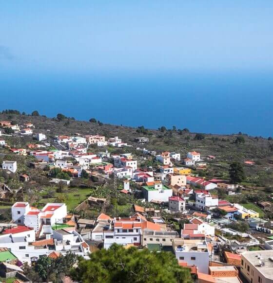 El Pinar. El Hierro.