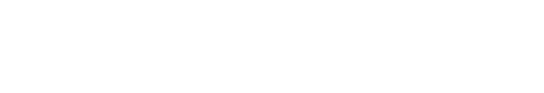 Logo aleman El Hierro