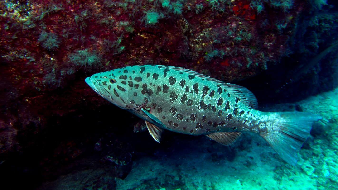 El Hierro - Roque de La Bonanza