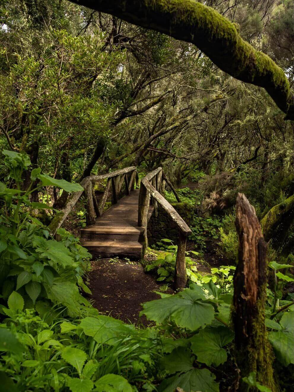La Llanía. El Hierro.
