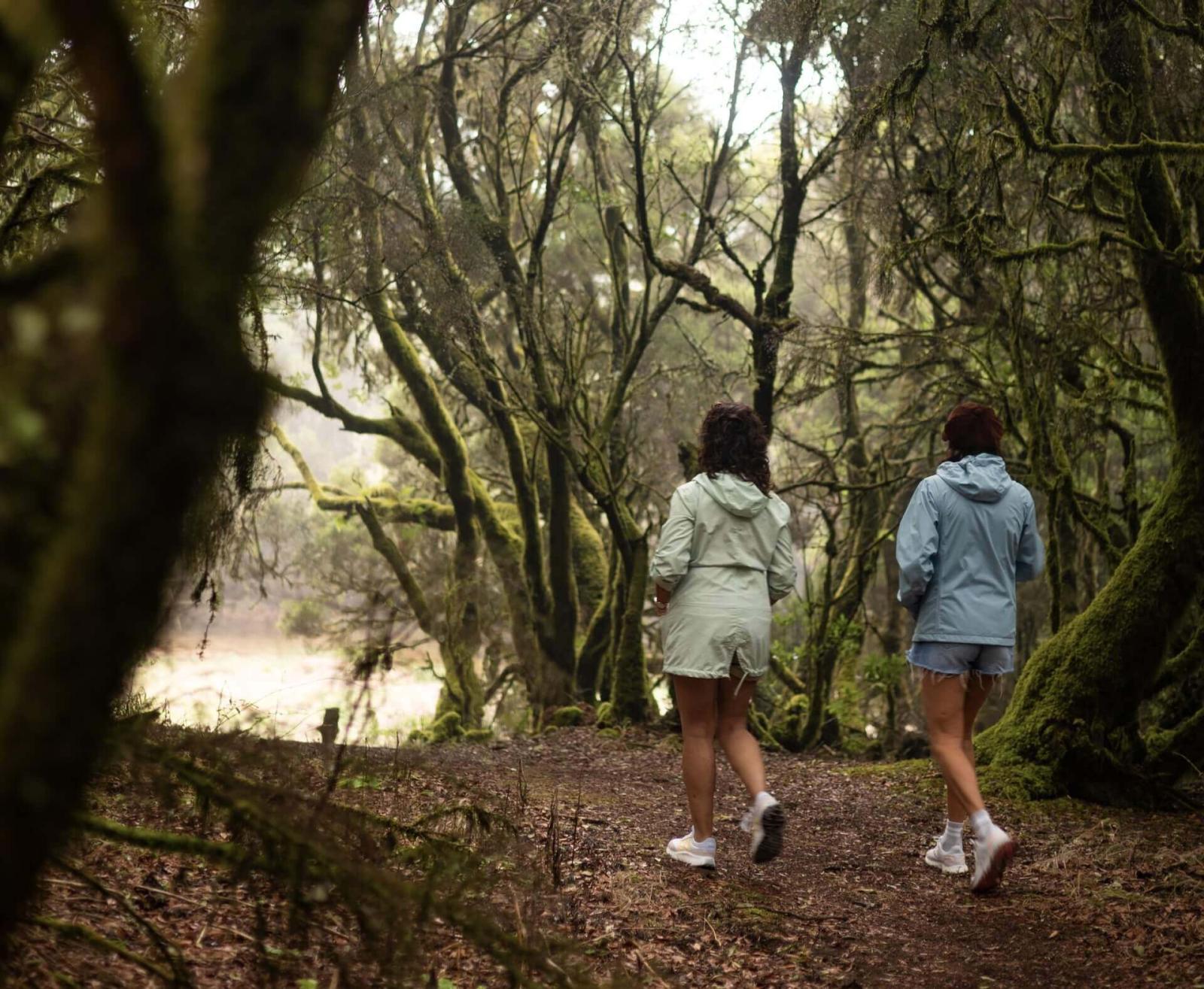 Sendero La Llanía. El Hierro.