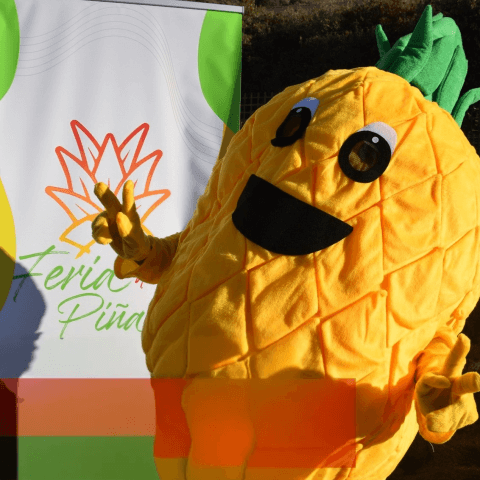 feria_pina