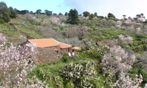 Casa Rural La Jarita 